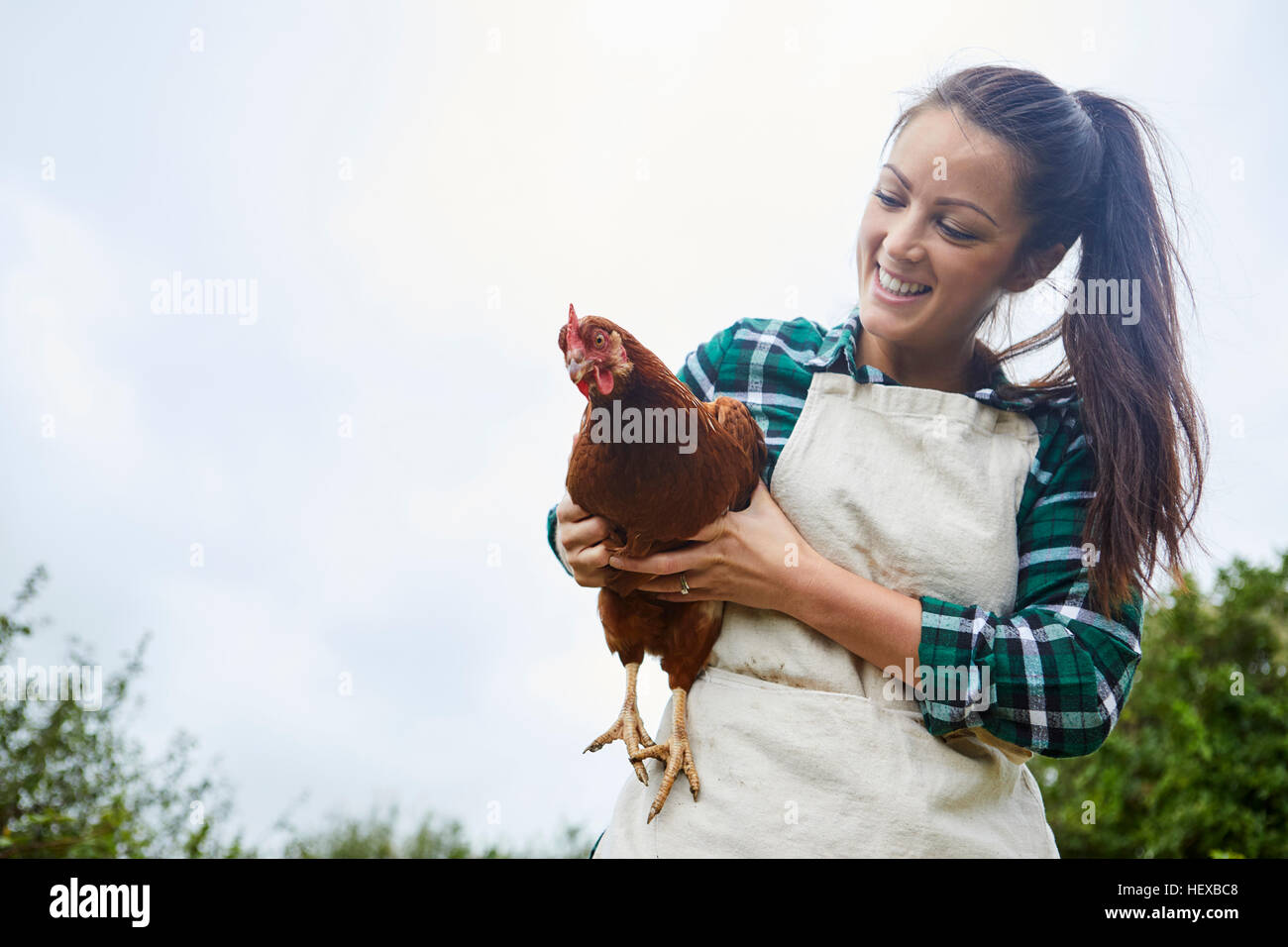 Donna che mantiene il pollo Foto Stock