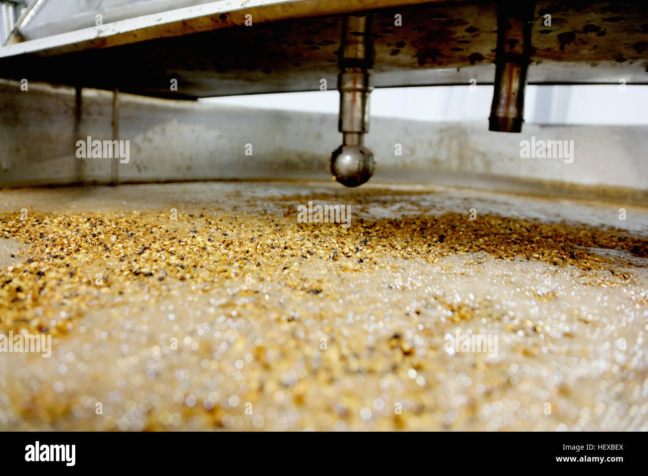 Chicchi d'orzo nel preparare il serbatoio in scala piccola birreria Foto Stock