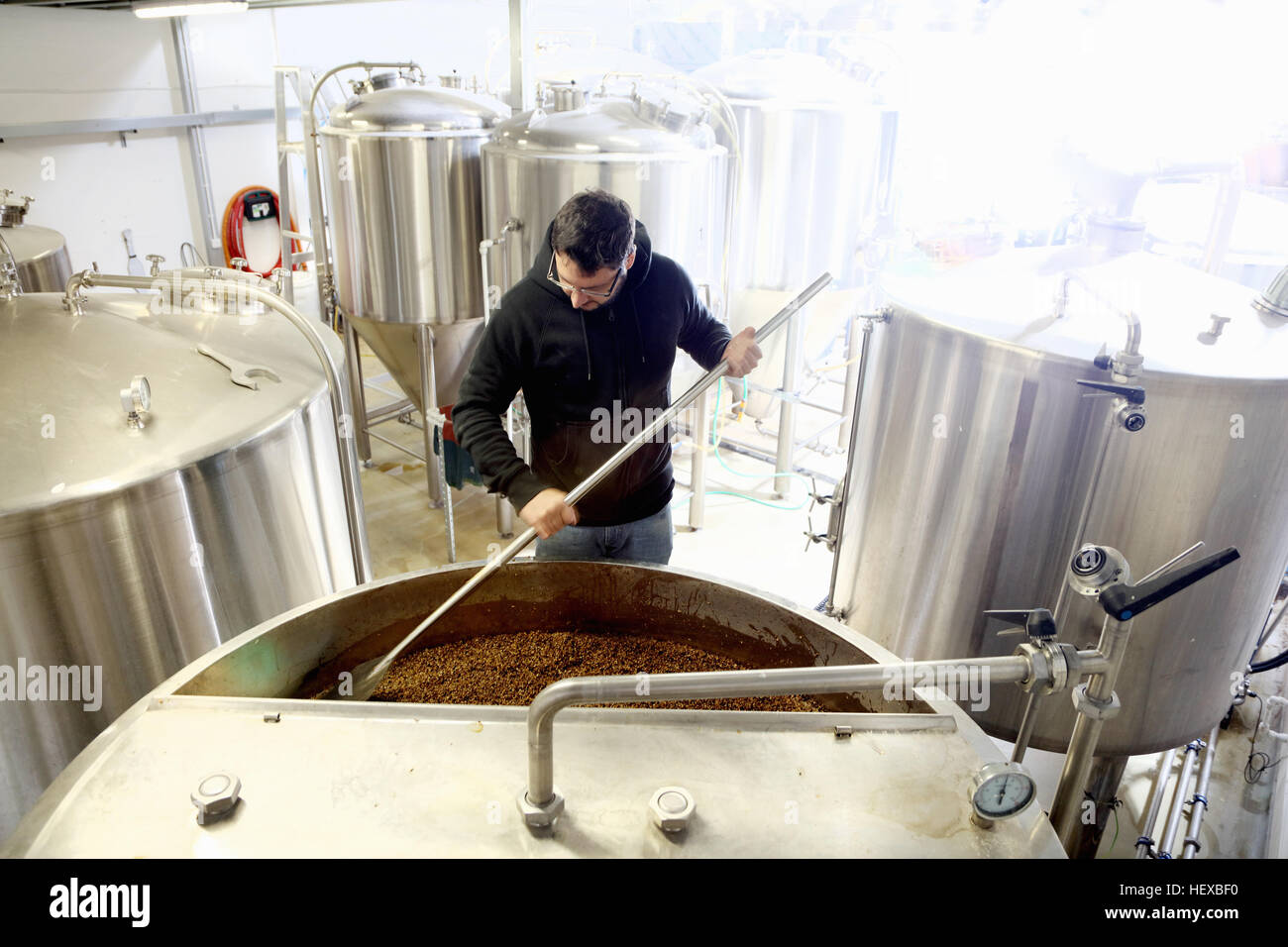Lavoratore in birreria, la miscelazione di chicchi d'orzo nel serbatoio brew Foto Stock