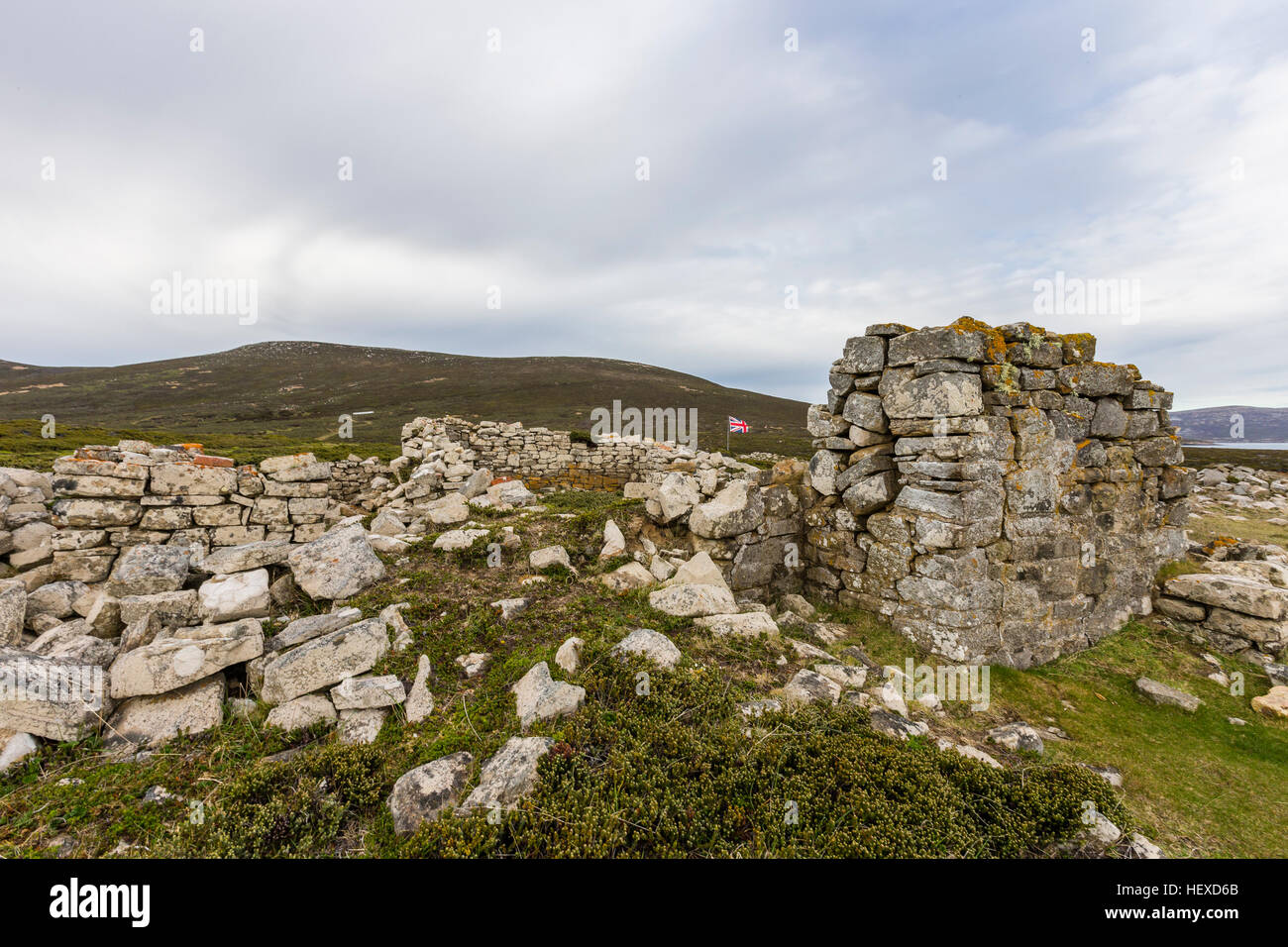 Porta su Egmont Saunder's Island nelle Falkland Foto Stock