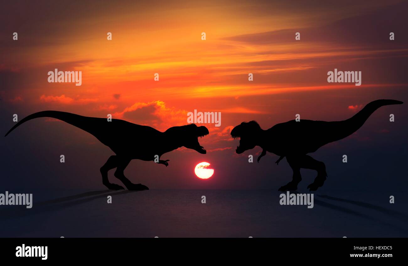 Illustrazione di una coppia di dinosauri tyrannosaurus visto contro un tramonto o l'alba). I dinosauri sembrano essere la squadratura fino ad una lotta. Forse uno si è avventurato nel territorio dell'altra parte; o forse sono il combattimento per diritti di accoppiamento come i moderni animali. Tyrannosaurs erano grandi, dinosauri carnivori, apex predatori durante il Cretacico nella terra della storia. Foto Stock