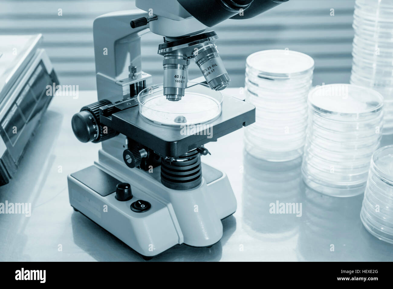 Microscopio di laboratorio e capsule di petri. Foto Stock