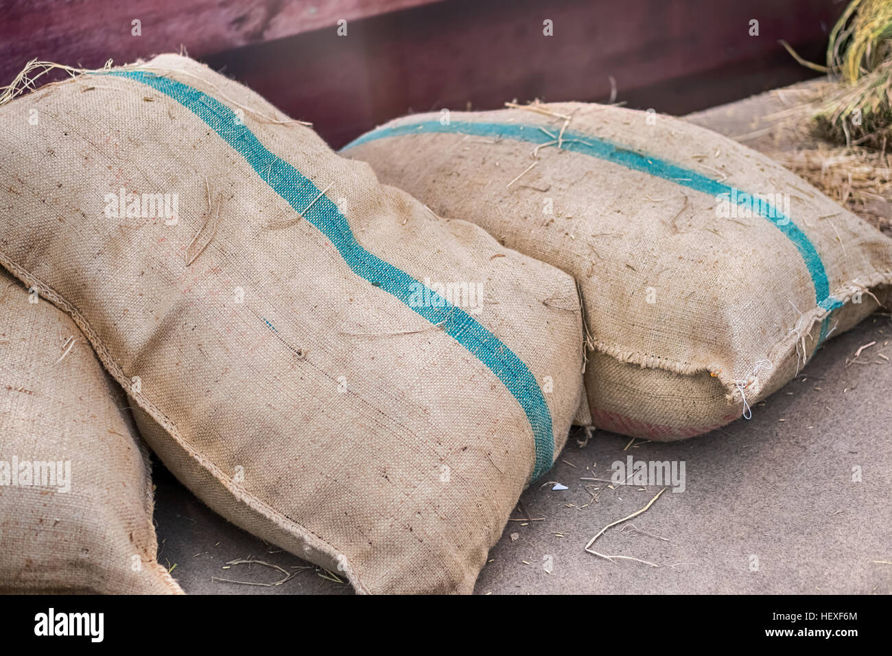 La canapa i sacchi contenenti il riso Foto Stock