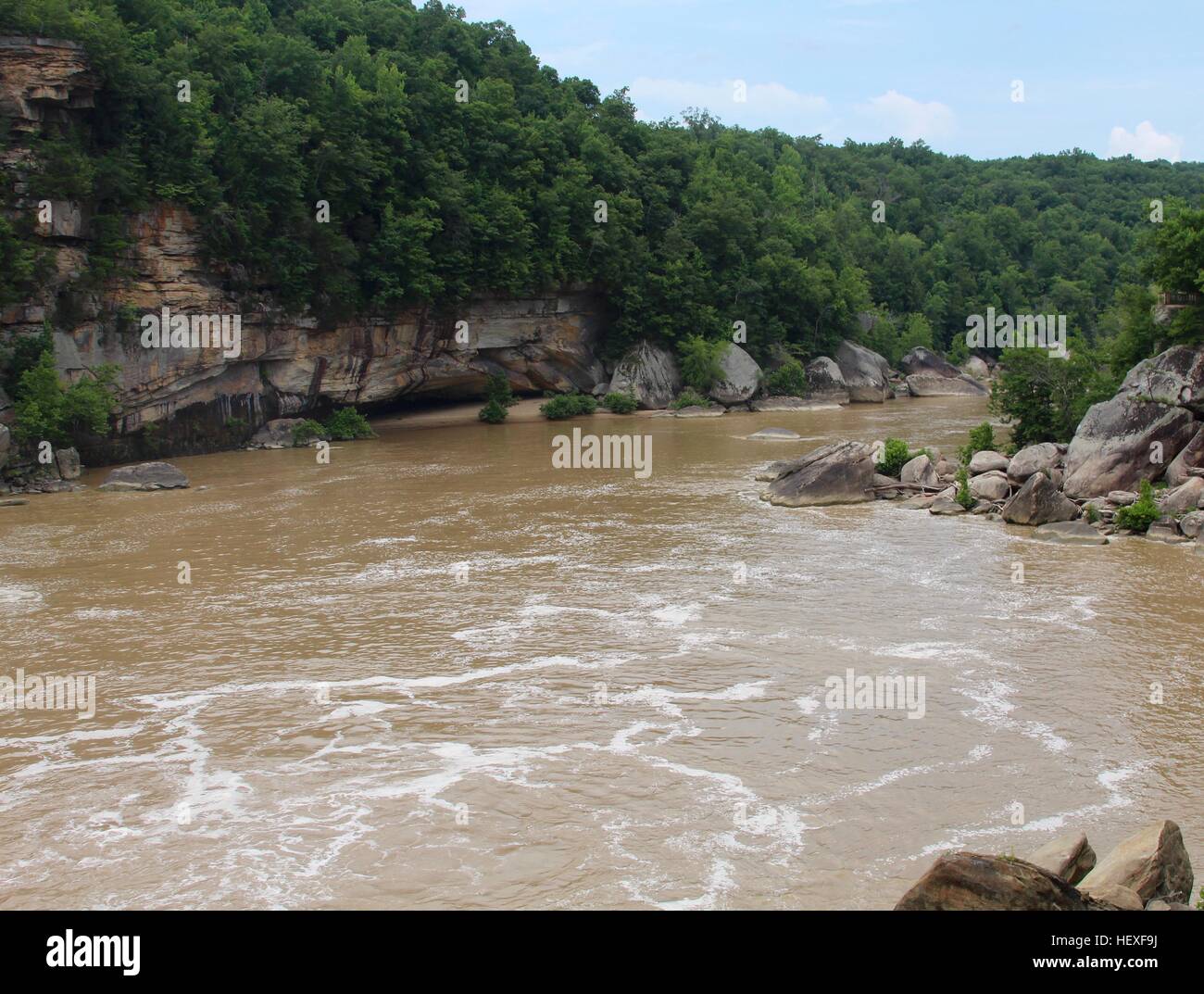 Il veloce movimento di acqua fangosa di un fiume. Foto Stock