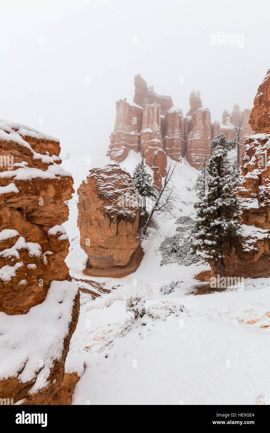 In inverno la neve cade sui hoodoos al Parco Nazionale di Bryce Canyon nel sud dello Utah. Foto Stock