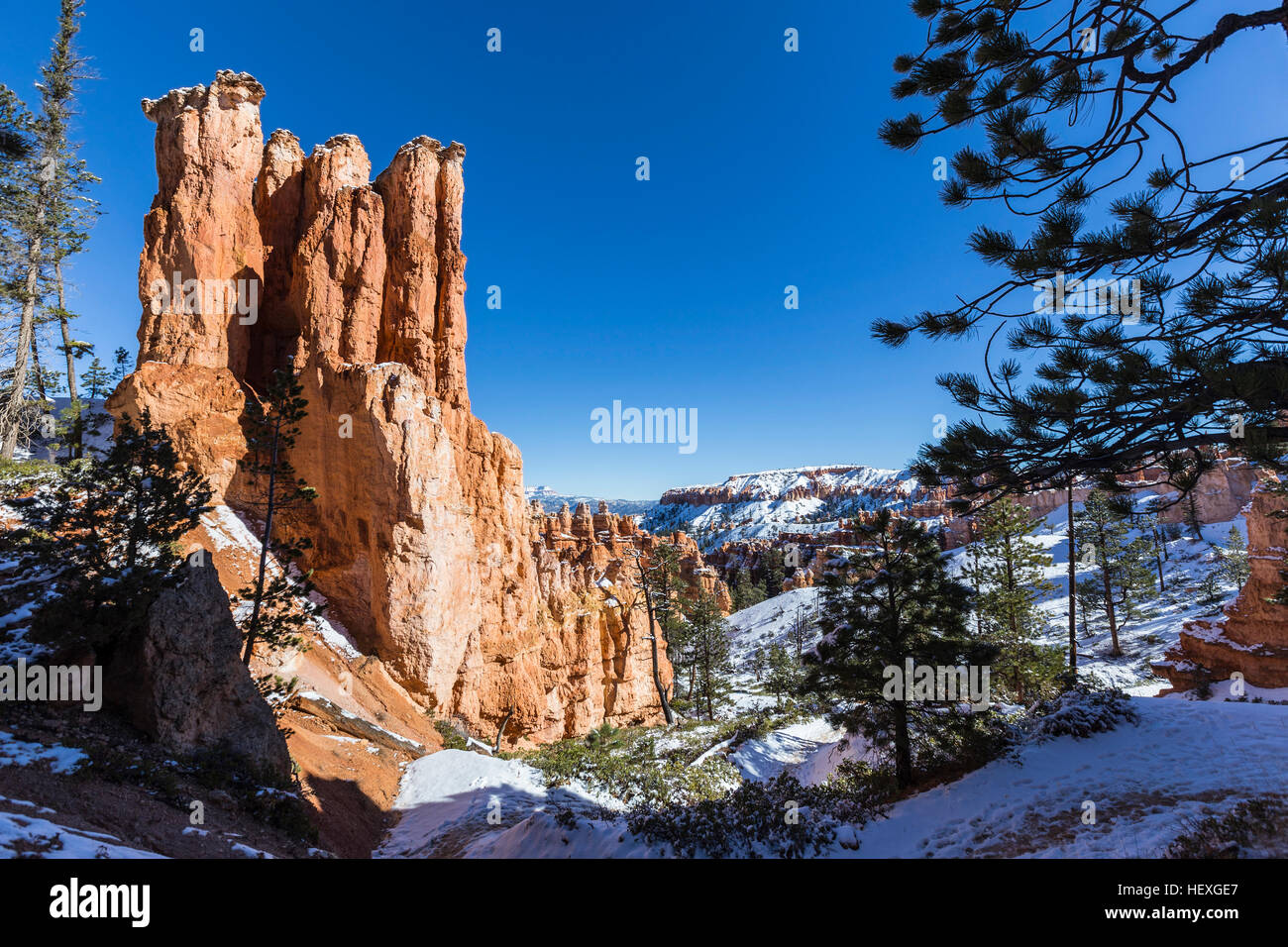 Hoodoo e neve a Bryce Canyon National Park nel sud dello Utah. Foto Stock
