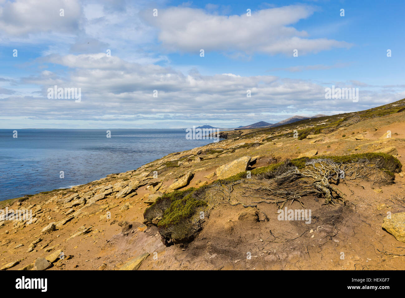 Falkland Isole dell,Malvinas,Saunder's Island,Sud Atlantico Foto Stock