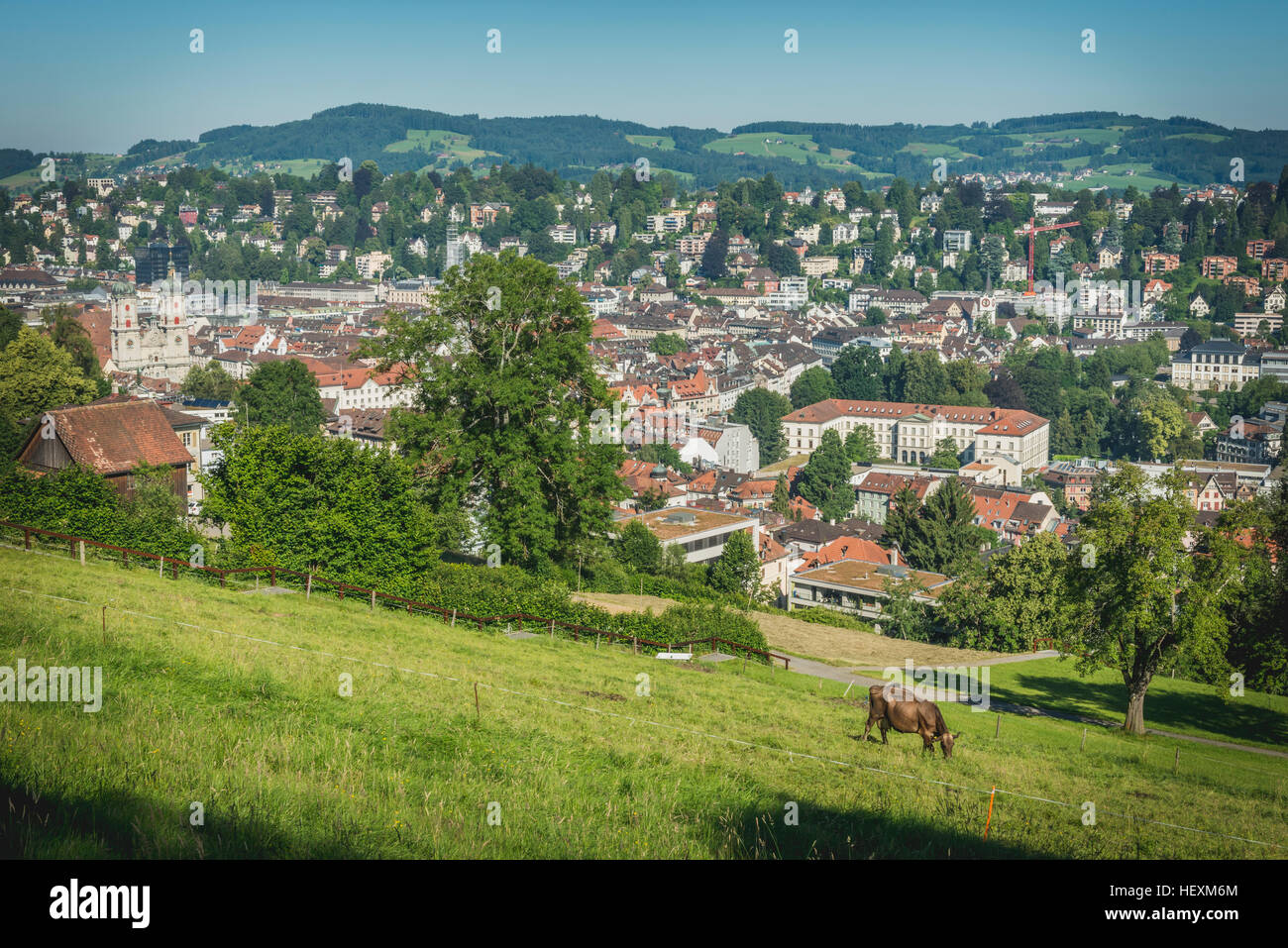 La Svizzera, San Gallo, la vista della città dal Drei Weieren Foto Stock