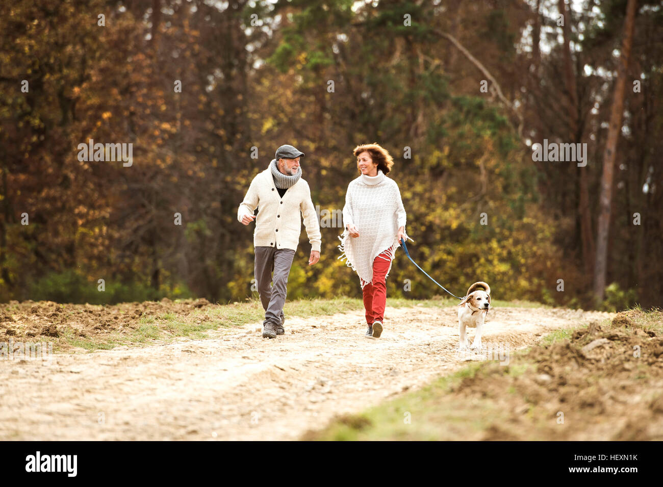 Coppia senior a piedi nei boschi con il suo cane Foto Stock