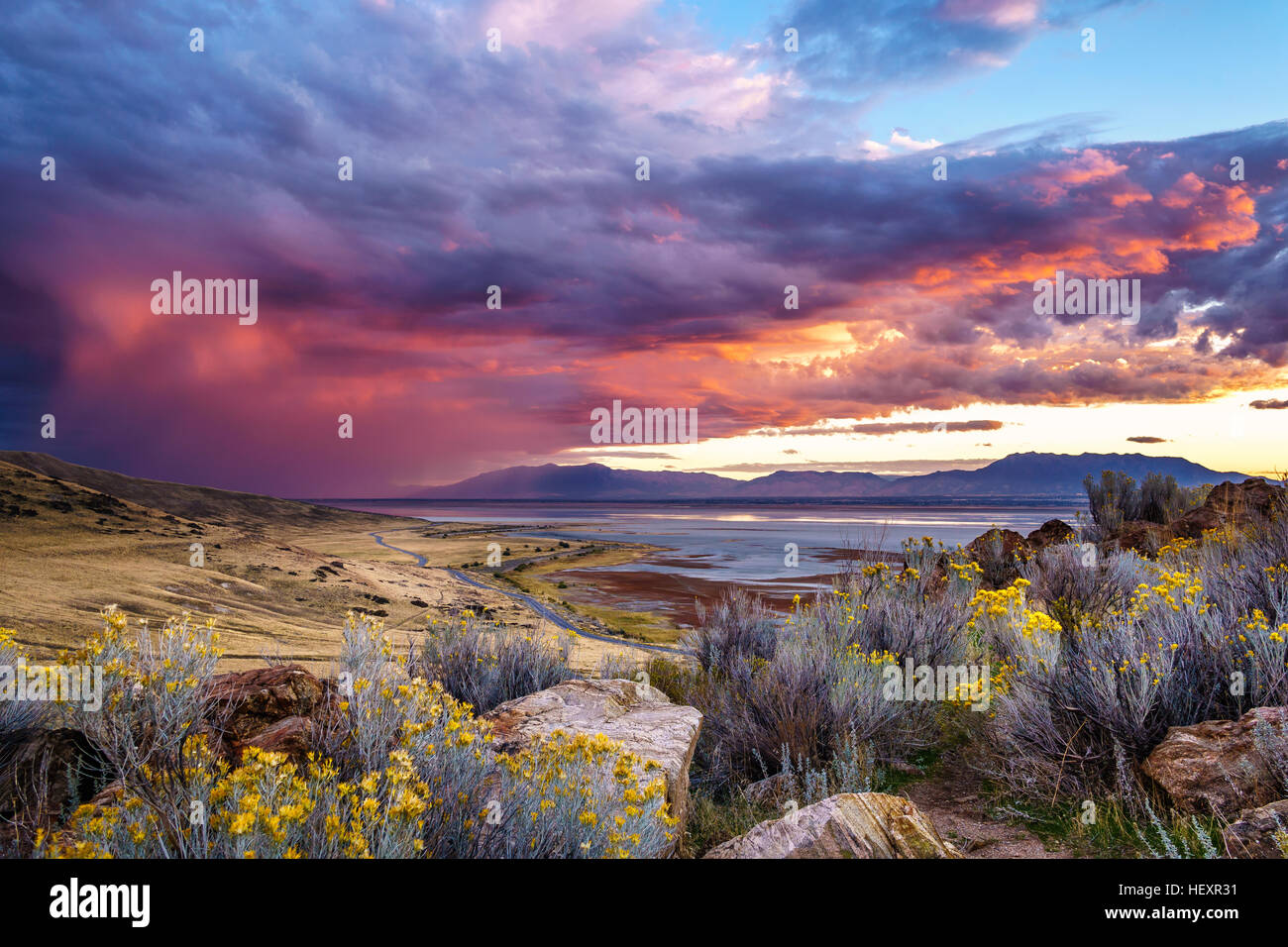 Wild cercando nuvole temporalesche rotolo su Antelope Island mentre ero escursionismo sul lato est verso il picco Frary giallo e verde salvia spazzola in primo piano Foto Stock