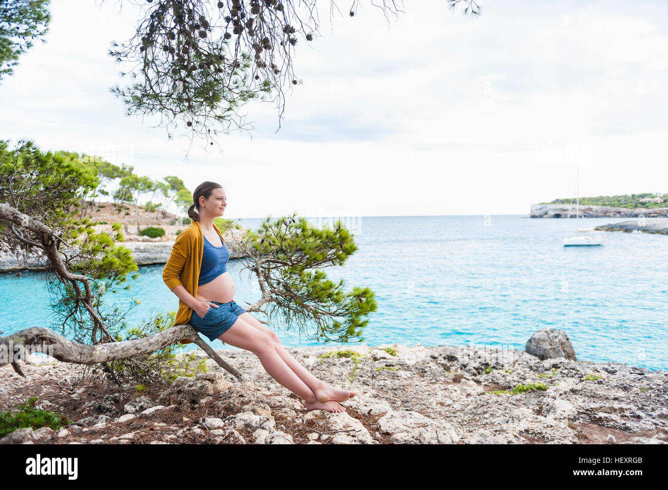 Donna incinta seduta sul ramo a mare Foto Stock