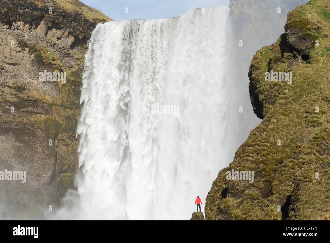 Giovane Uomo in camicia rossa sorge su una scogliera con Skogafoss cascata dietro, Islanda. Foto Stock