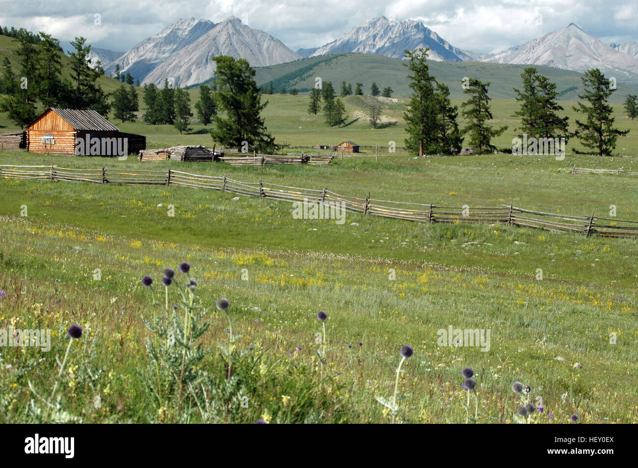 Home Inverno ai piedi delle montagne Sayan in prossimità della sponda settentrionale del Lago Khövsgöl, Mongolia Foto Stock