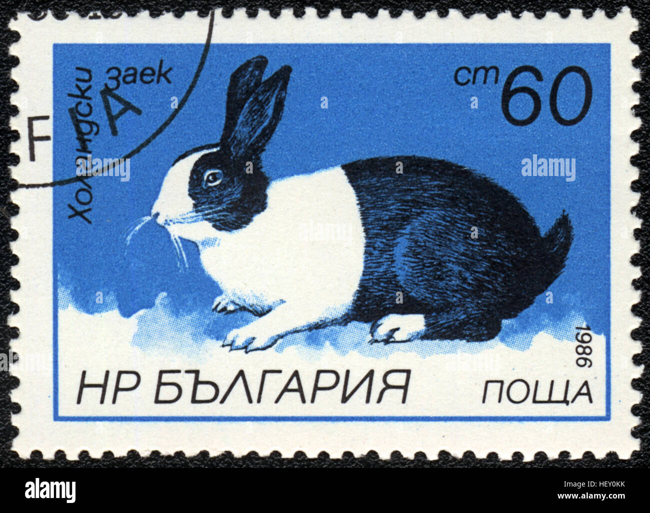Un francobollo stampato in Bulgaria mostra di Coniglio Coniglio olandese, "razze di conigli ' serie, 1986 Foto Stock