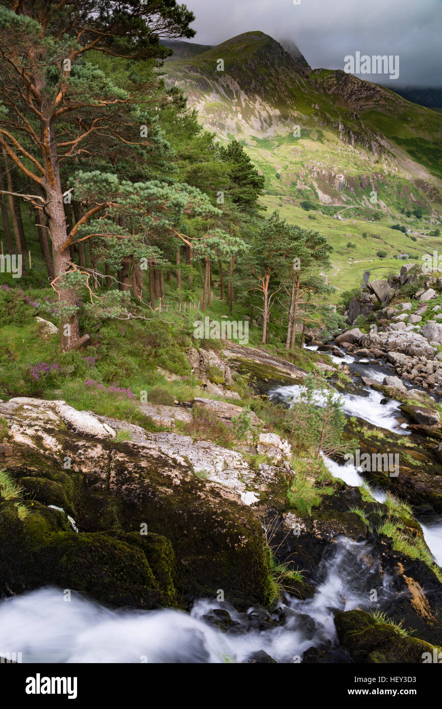Una cascata lungo Nant Ogwen a pont pen-y-benglog che scorre verso il basso lungo la valle Ogwen, Snowdonia. Foto Stock