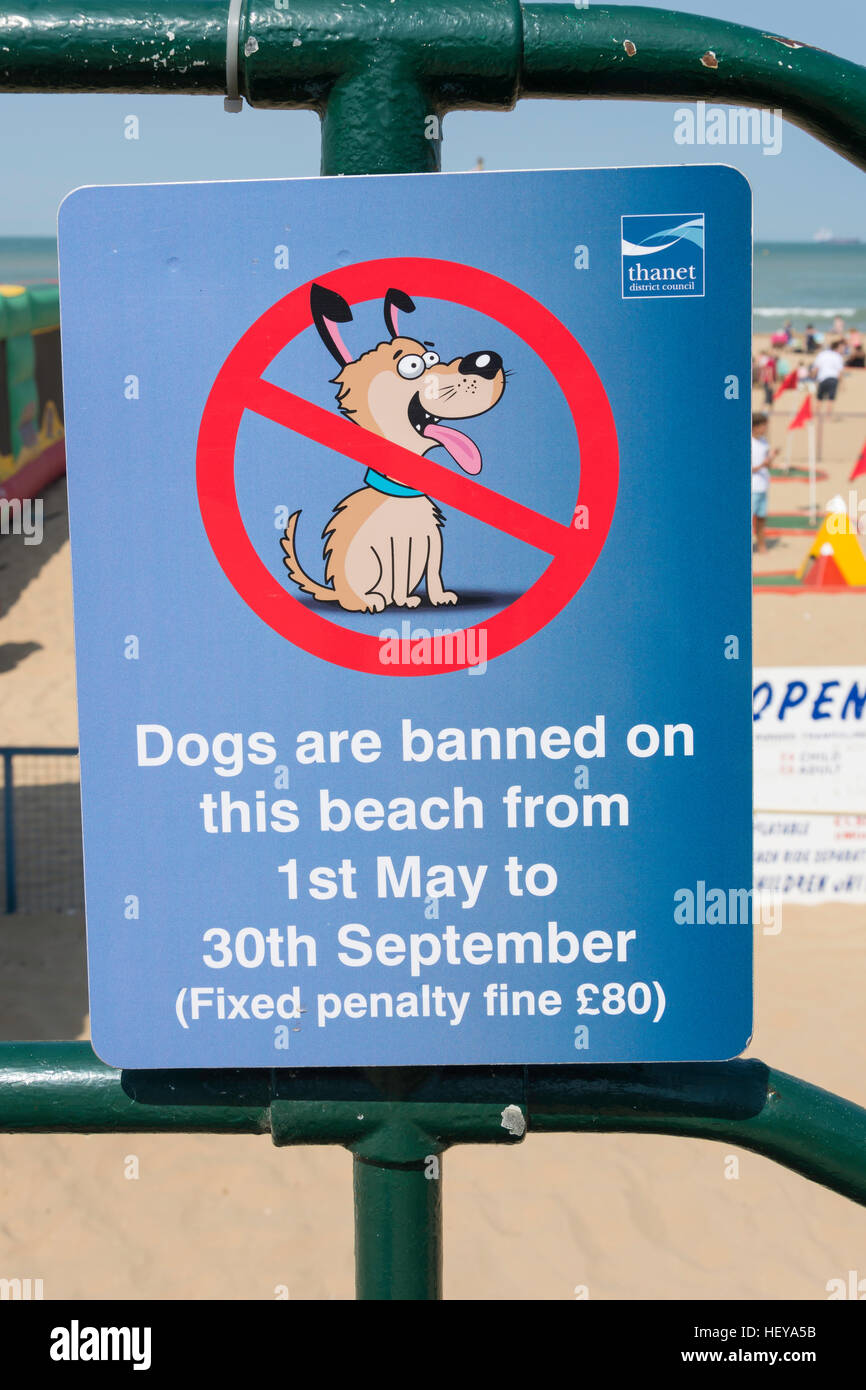 'Dogs sono vietate' firmare a Margate Beach, Margate, Kent, England, Regno Unito Foto Stock