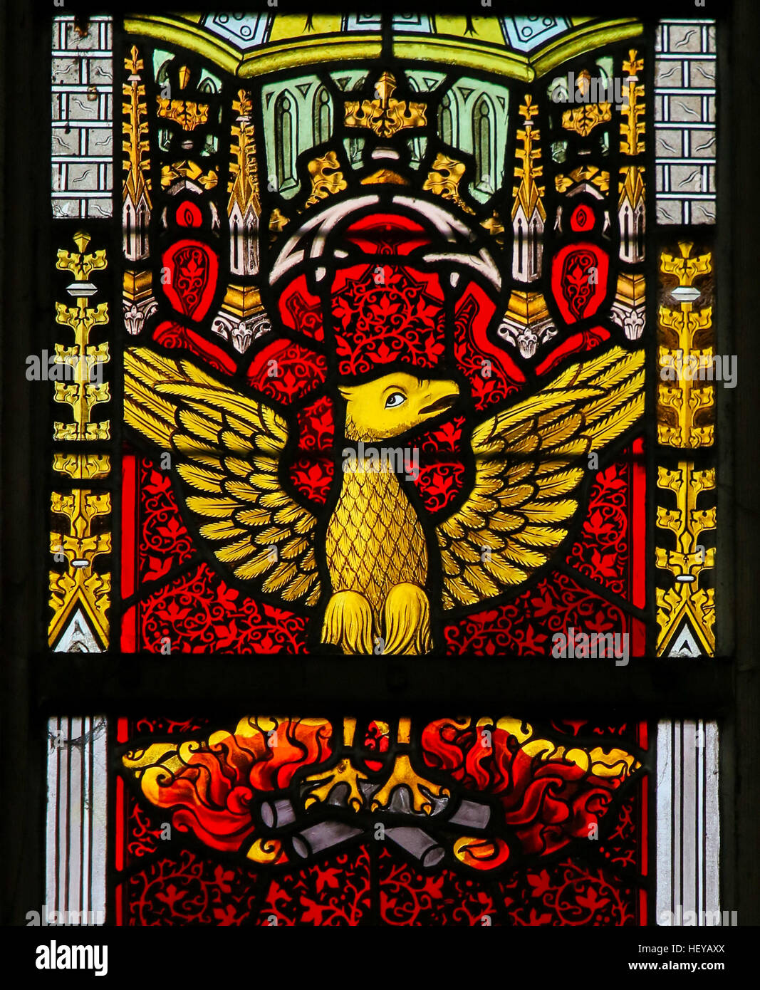 Vetrata raffigurante una Phoenix che rinasce dalle ceneri, nella Cattedrale di Saint Bavo a Gand, Fiandre, in Belgio. Foto Stock