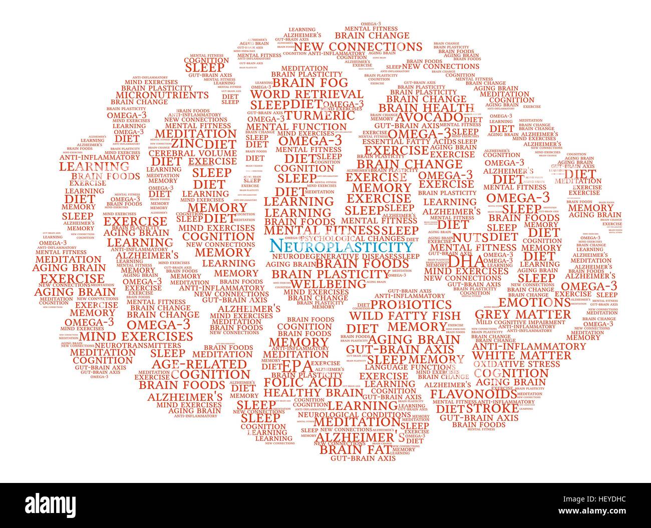 Neuroplasticità cervello parola cloud su uno sfondo bianco. Illustrazione Vettoriale