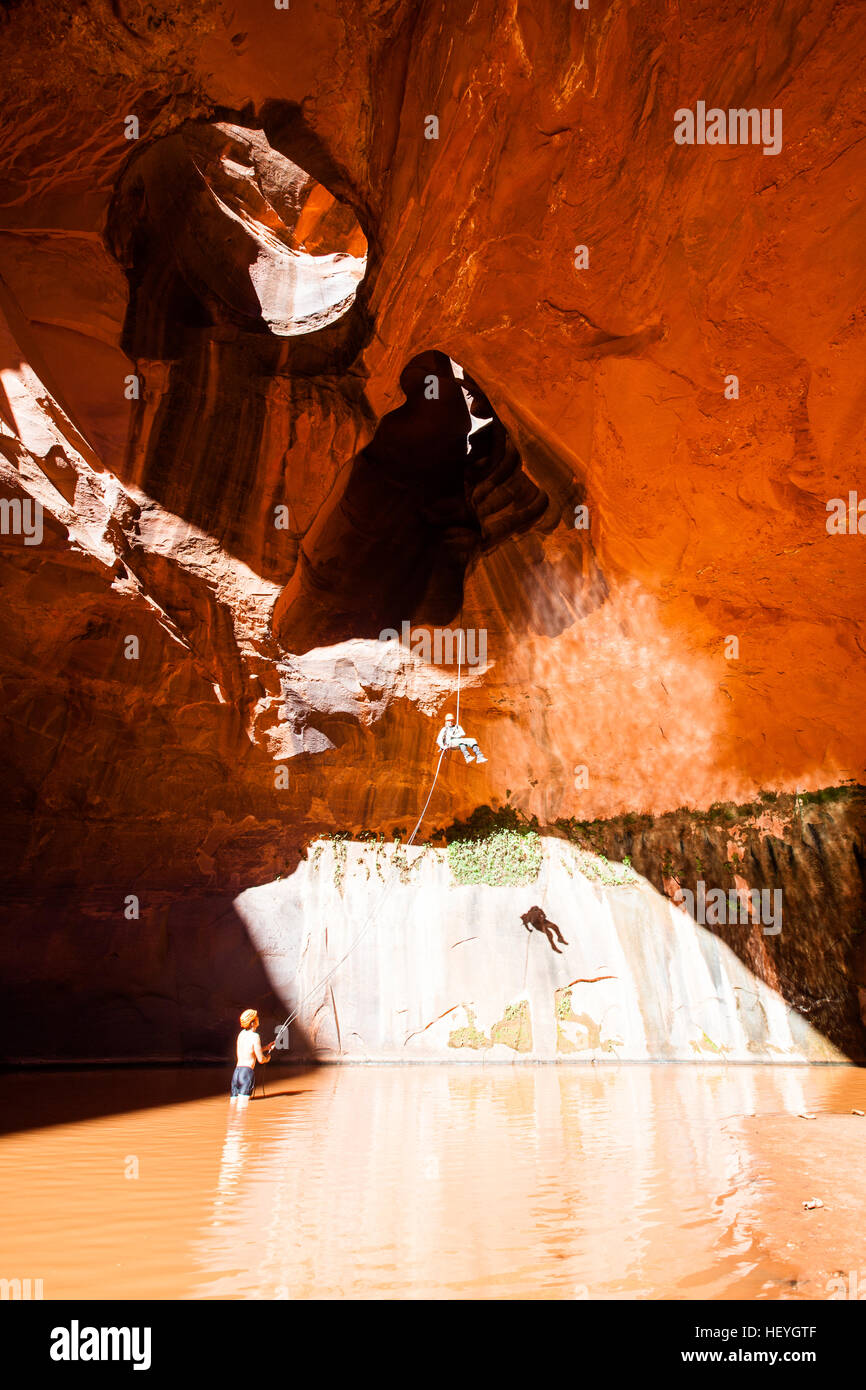 Rappelling in acqua nella cattedrale di dorata con una sosta vigili del fuoco, Escalante regione, Utah Foto Stock