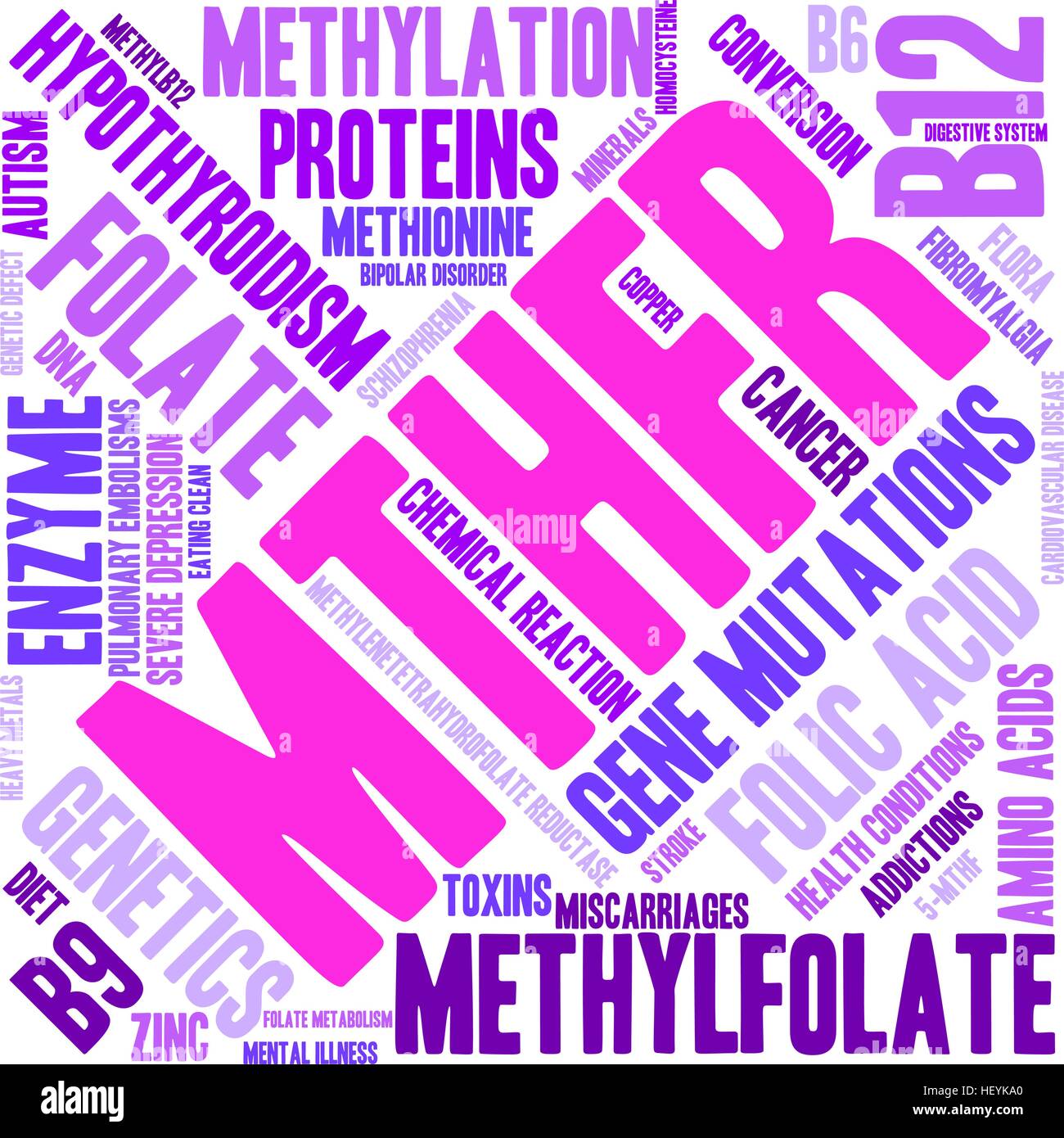 Parola MTHFR cloud su uno sfondo bianco. Illustrazione Vettoriale