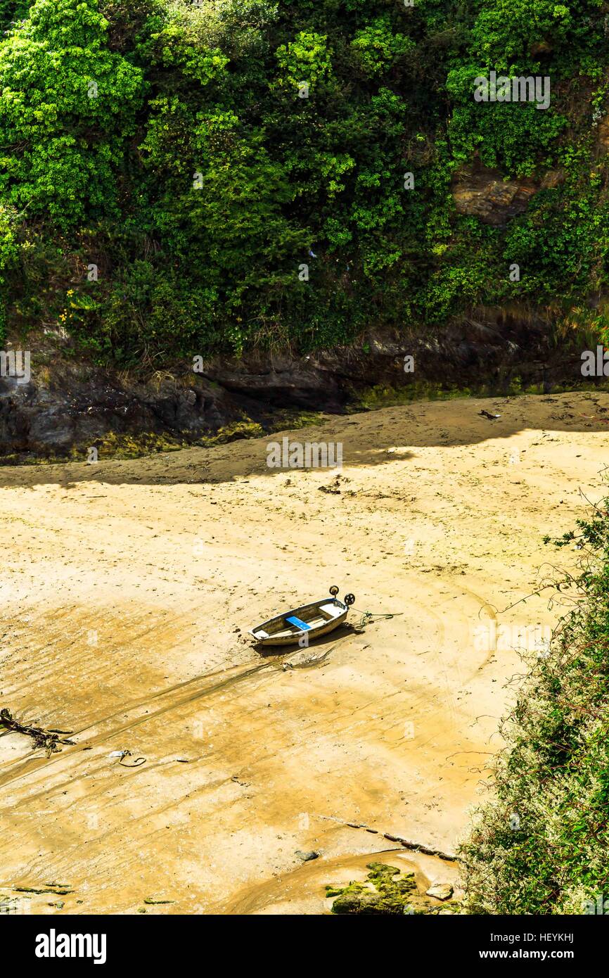 Le barche nel porto pittoresco di Newquay in Cornovaglia, Regno Unito Foto Stock