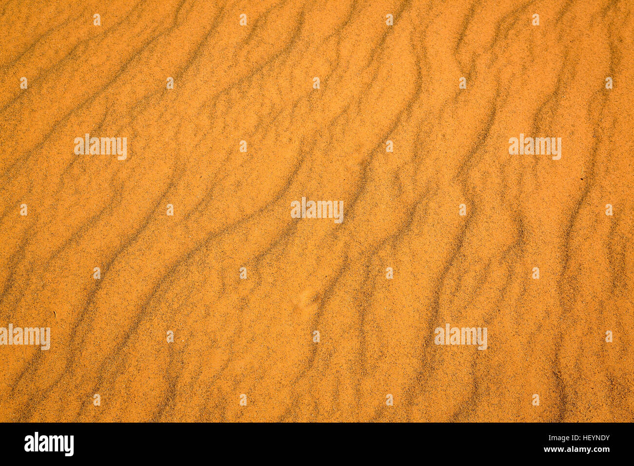 Texture di sabbia del deserto del Sahara fino vicino, Marocco Foto Stock