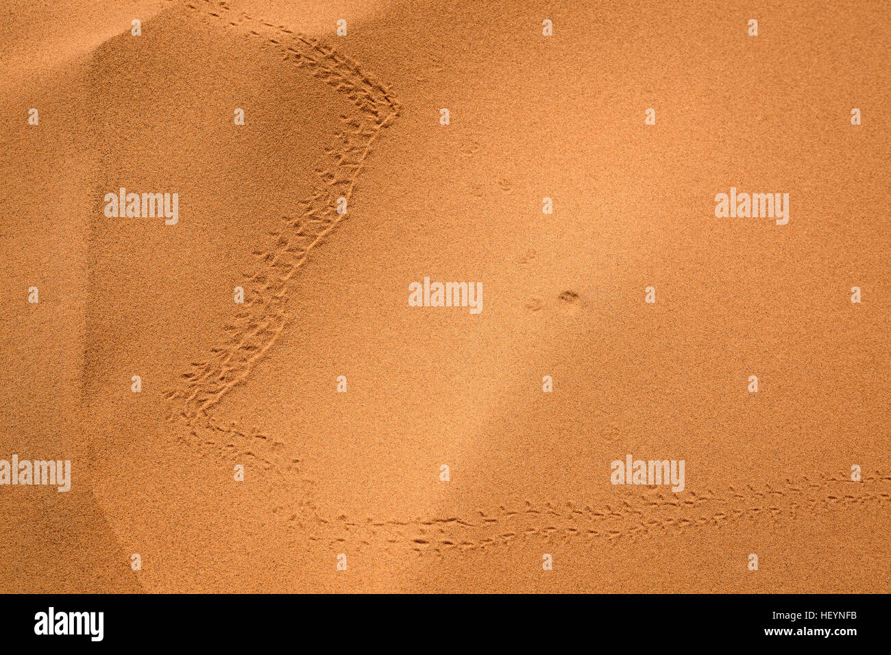 Texture di sabbia del deserto del Sahara fino vicino, Marocco Foto Stock