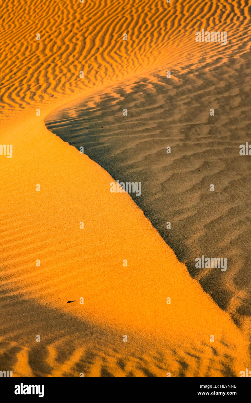 Le dune di sabbia del deserto del Sahara vicino Merzougha in Marocco Foto Stock