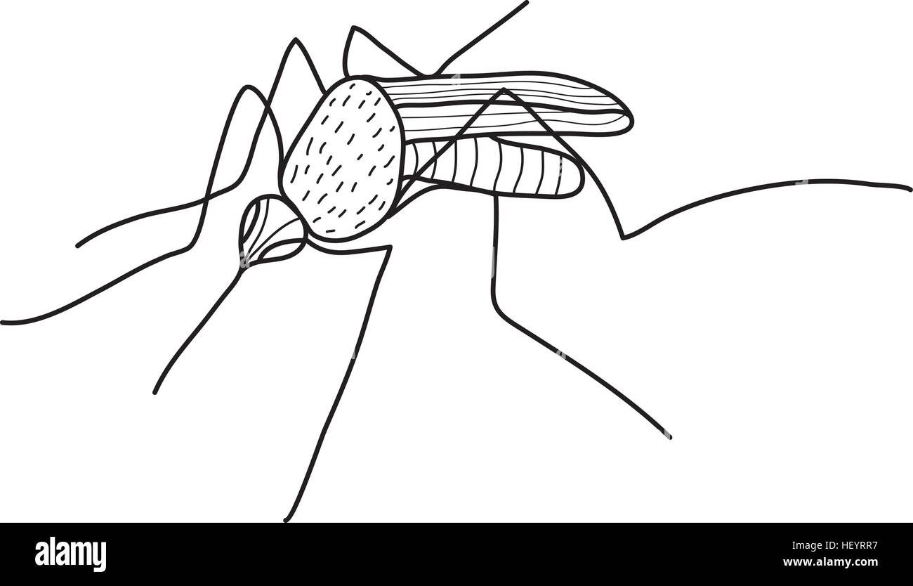 Mosquito schizzo del disegno a mano, doodle stile. Illustrazione Vettoriale Illustrazione Vettoriale