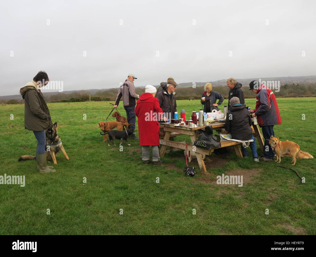 Dog walkers sul South Downs avente un picnic nel giorno di Natale del mattino Foto Stock