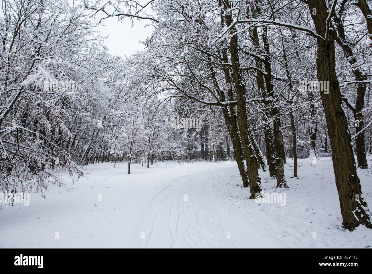 Széphalom, Ungheria. Il 22 dicembre, 2016. Neve in motivi di lingua ungherese museum di Széphalom in Ungheria settentrionale. Foto Stock