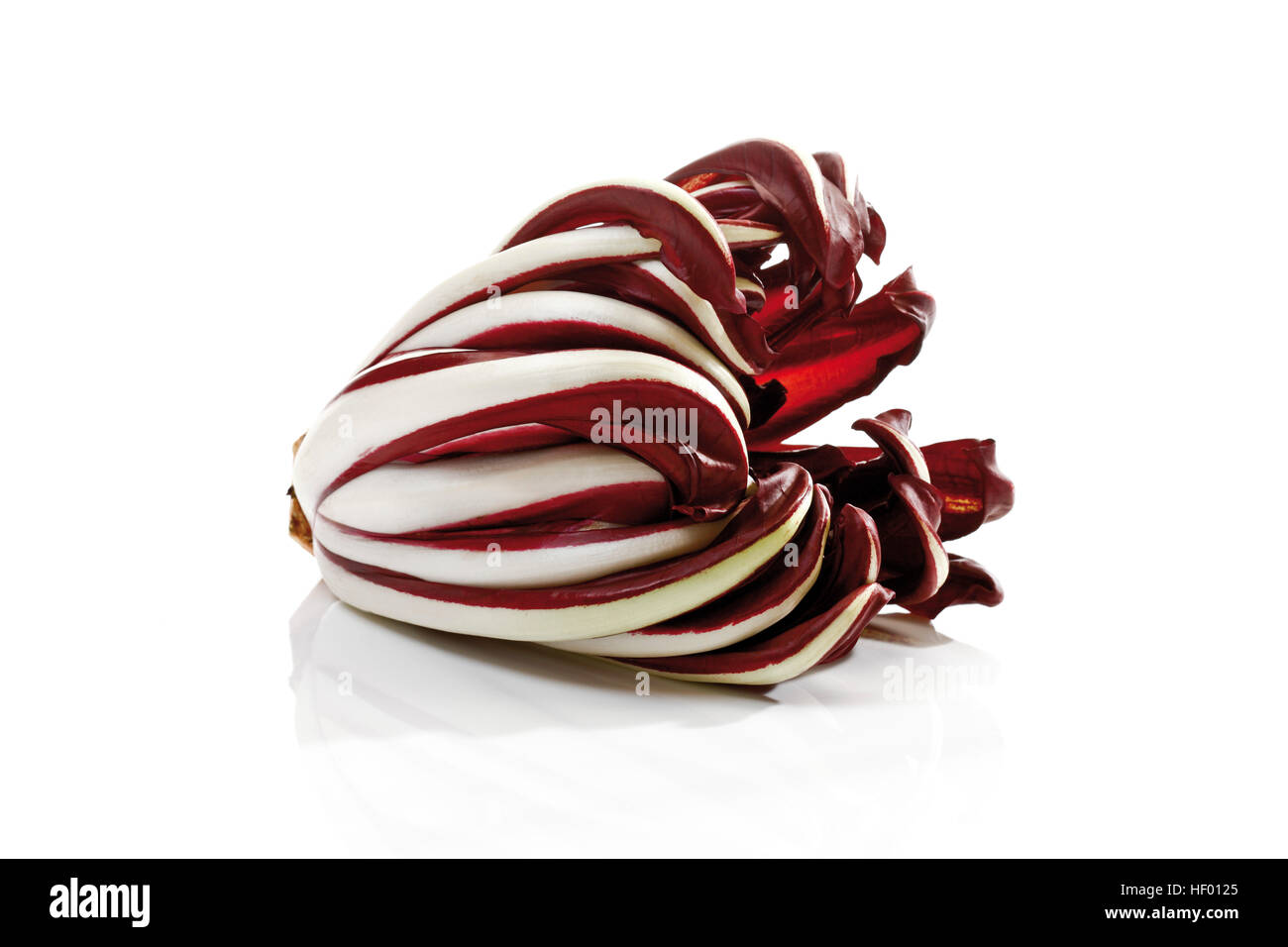 Radicchio o italiano di cicoria (Cichorium intybus) Foto Stock