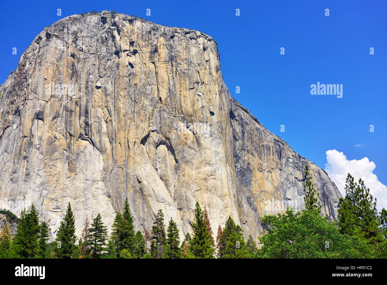 El Capitan, granito eroso montagna, Yosemite Valley, Yosemite National Park, California, Stati Uniti d'America Foto Stock