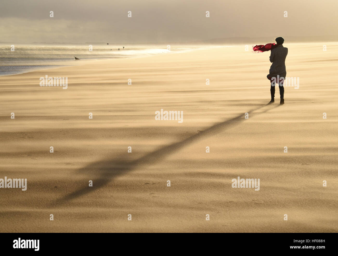 Lone donna camminando sulla spiaggia sabbiosa di maltempo fortemente retroilluminate e lunga ombra Foto Stock