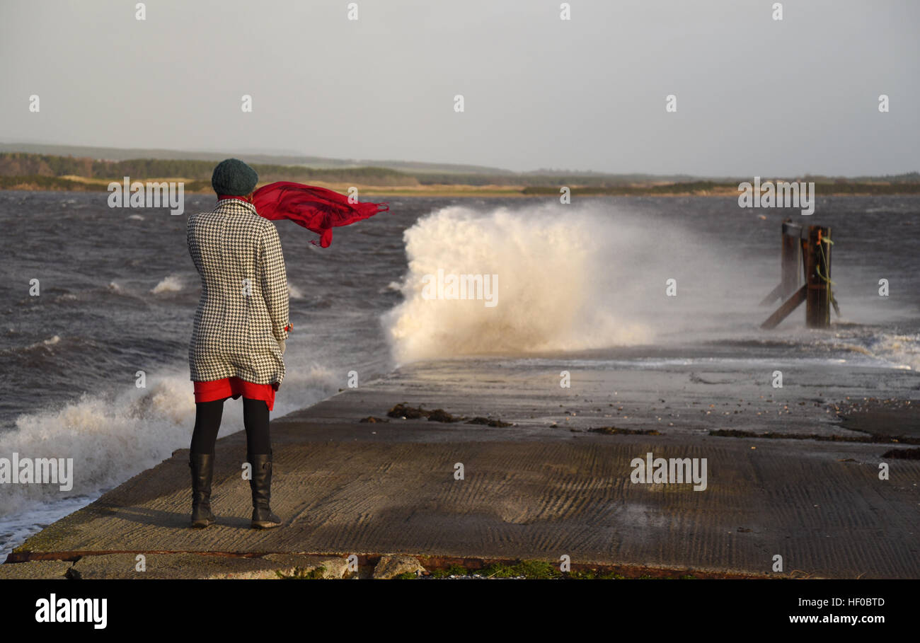 Donna in piedi accanto a onde si infrangono sul Molo Jetty, Dornoch Firth Bridge, Scozia. Foto Stock