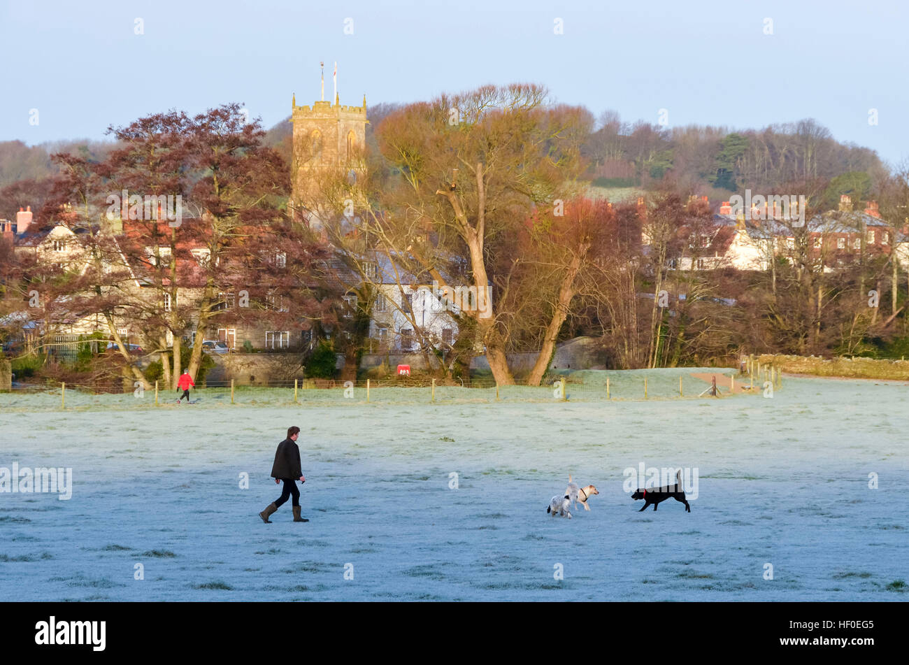 Bridport, Dorset, Regno Unito. Il 27 dicembre 2016. Regno Unito Meteo: un dog walker passeggiando attraverso il gelido di erba a Askers prato in Bridport nel Dorset in un freddo dicembre gli inverni di mattina. Immagine: Graham Hunt/Alamy Live News Foto Stock