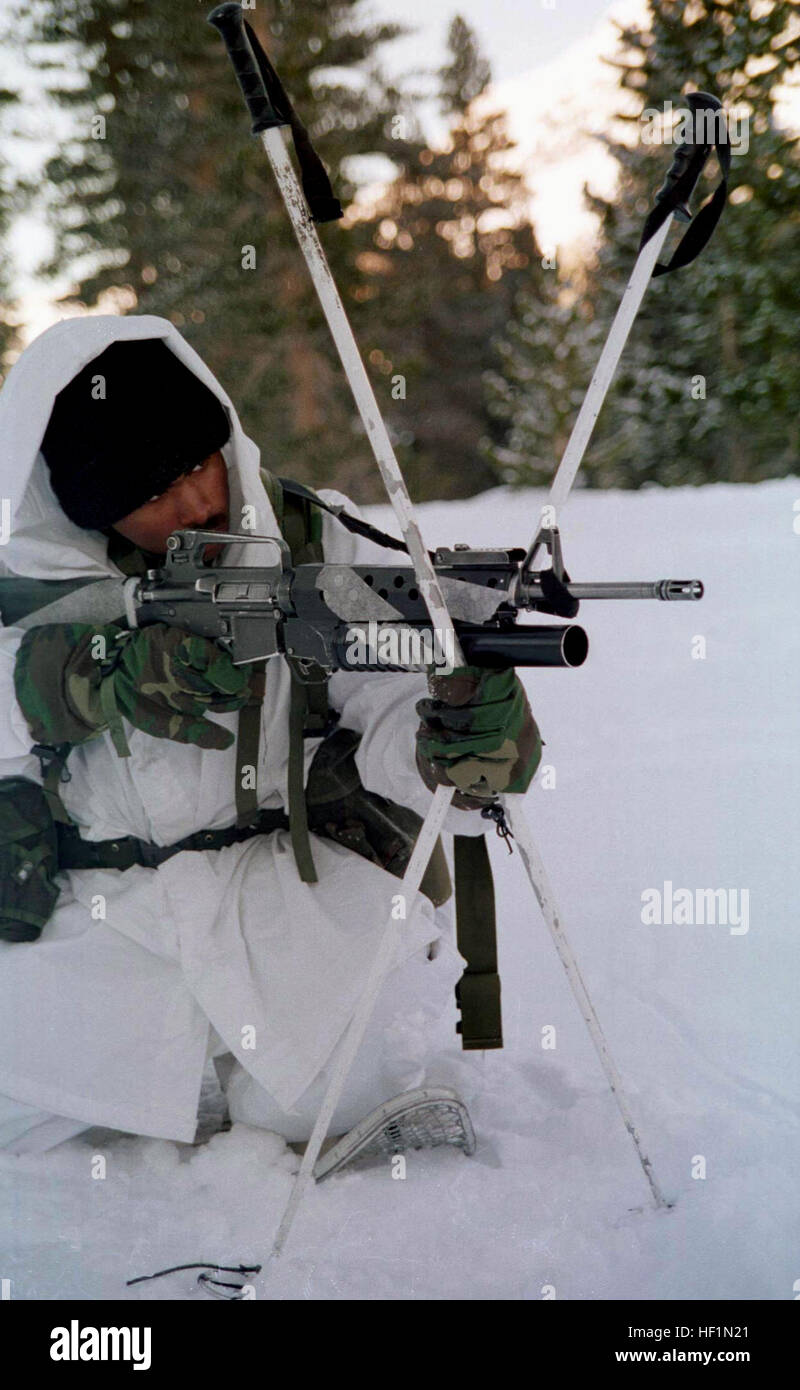 970208-M-8708Y-004 un primo plotone, Lima Marine azienda utilizza i Suoi bastoncini da sci costante per la sua M-16A2 fucile durante un live esercitazione antincendio presso la montagna Warfare Training Center, Bridgeport, California, il 8 febbraio 1997. Marines dal 2° Reggimento Marine e 3° Battaglione, 8 Marines di Camp Lejeune, N. C., sono stati al centro di treno in tempo freddo sopravvivenza e arctic warfare. Questo M-16A2 è dotato di un M-203 40 mm lanciagranate. DoD foto di Lance Cpl. E.J. Giovani, U.S. Marine Corps. Sturmgewehr M16A2 mit Granatwerfer Foto Stock