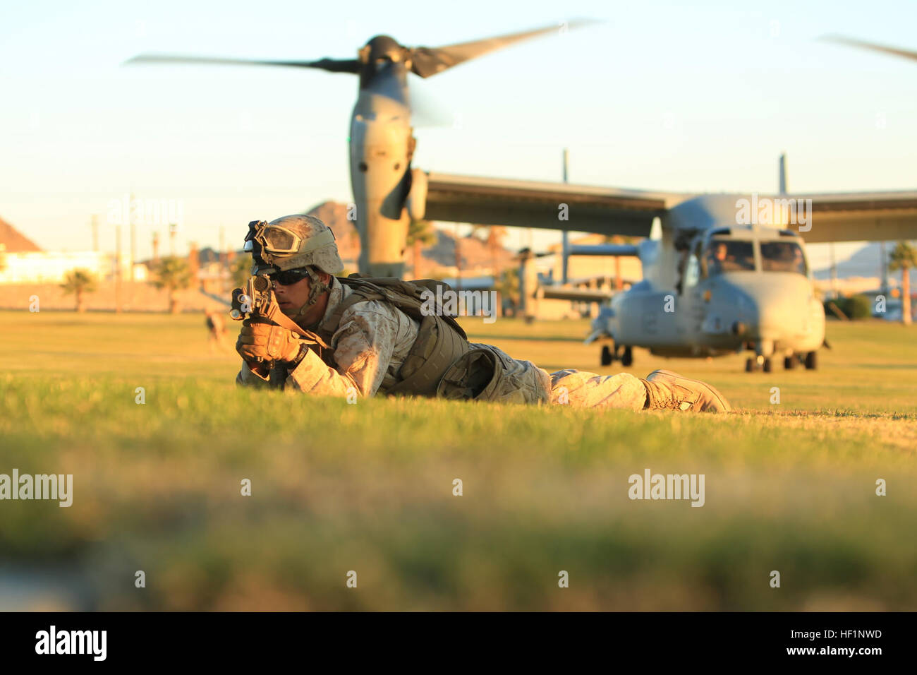 Aviazione marina di armi e tattiche del squadron 1 condotto un non combattente operazione di evacuazione esercizio a bordo del centro di combattimento ott. 18. L'esercizio addestrato MAWTS-1 Marines come evacuare non combattenti da un ambiente instabile. È anche condotta annualmente, aderente al gruppo di requisiti in materia di formazione e di assicurare la sua missione la prontezza. I marines condotta l'esercizio da circa 5 a circa 10 p.m. utilizzando più aeromobili, per includere la MV-22 Asprì e CH-53 Super stalloni, che sono stati utilizzati per il trasporto di simulazione di sfollati da entrambe le lance Cpl. Torrey L. campo grigio e De Foto Stock