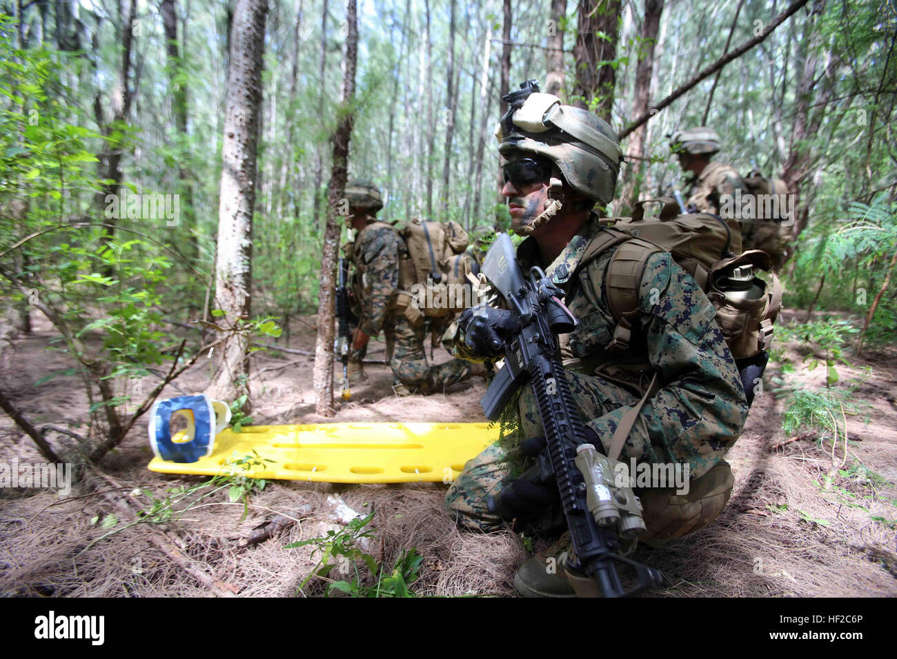 I Marines della Golf Company, 2nd Battalion, 1st Marines, 11th MEU, forniscono sicurezza durante un raid a lungo raggio nell'area di addestramento dei Marine Corps Bellows, Hawaii, come parte del dispiegamento WESTPAC 14-2 con Makin Island ARG. Foto Stock
