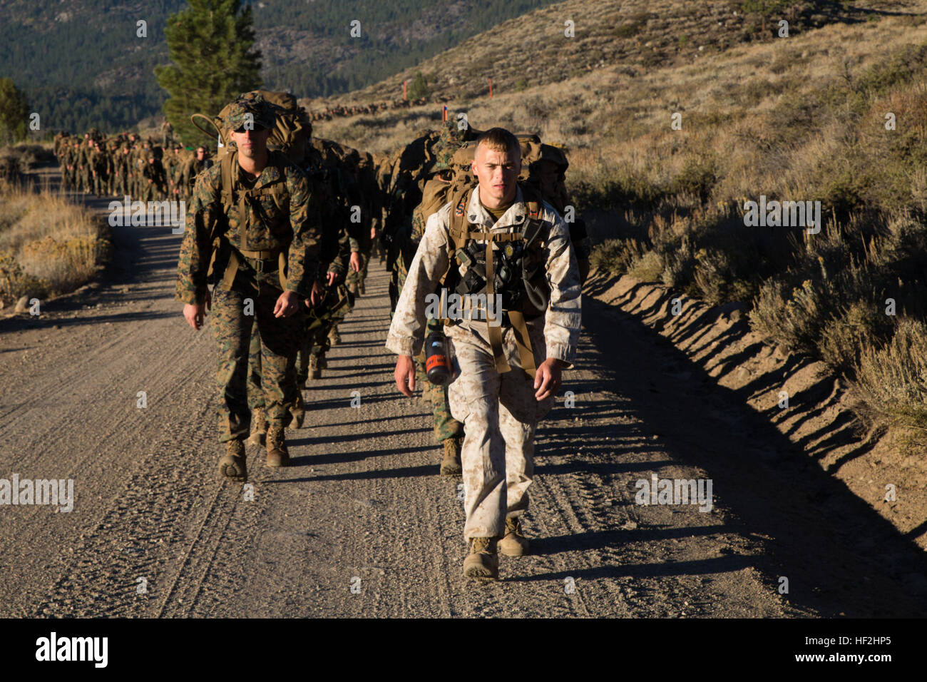 I marines della CLB-6 e 2/5 conducono un'escursione di cinque miglia fino a Landing zone Quail presso il Marine Corps Mountain Warfare Training Center, California, durante un esercizio estivo di 21 giorni sulle montagne incentrato sulle abilità di sopravvivenza in montagna. Foto Stock