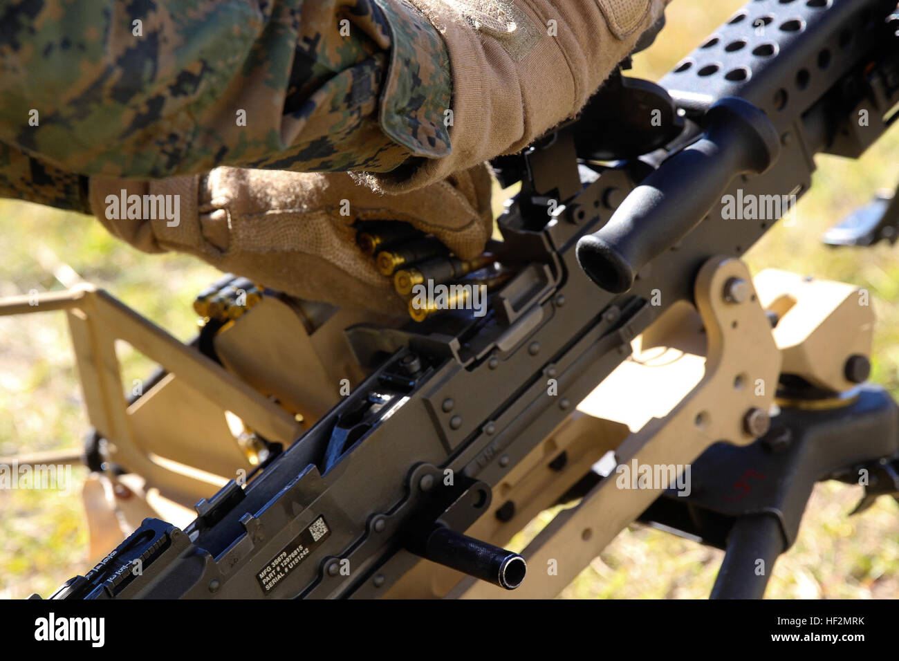 Un Marine con Bravo Company, Battaglione Team di atterraggio 3° Battaglione, 6° Reggimento Marini, 24 Marine Expeditionary Unit, carichi di 7.62mm munizioni in un M240B mitragliatrice durante una taratura di armi esercizio di Camp Lejeune, N.C., nov. 7, 2014. I marines condotto la formazione per assicurare che tutti i sistemi di arma funzionino correttamente e siano pronti per la prossima distribuzione alla fine dell'anno. Bravo Co. è il BLT luce della ricognizione corazzato distacco dalla seconda luce corazzato battaglione di ricognizione, seconda divisione Marine. (U.S. Marine Corps photo by Lance Cpl. Austin A. Lewis) XXIV MEU's LAR Foto Stock