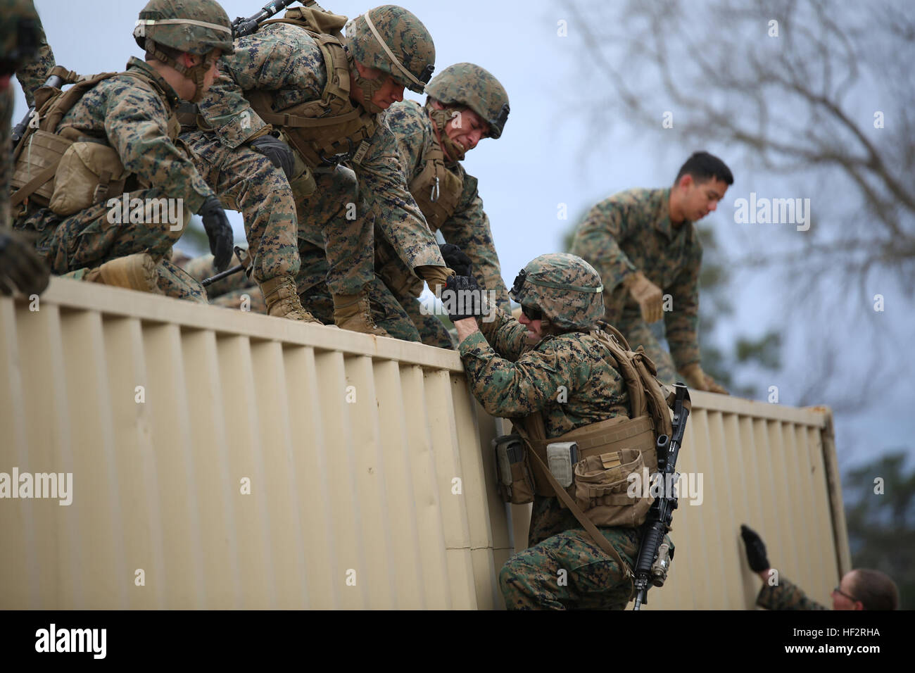 Marines con la società A, il combattimento a terra integrati elemento Task Force, si prestano reciprocamente assistenza nel salire su un ostacolo a bordo di Camp Lejeune, North Carolina, Gen 9, 2015. I marines sono state conducendo il team-building esercizio in preparazione per la loro valutazione al Marine Corps Air Ground Centro di combattimento ventinove palme, California. Da ottobre 2014 a luglio 2015, il combattimento a terra integrati elemento Task Force sarà condotta individuale e collettiva per la formazione di competenze in designate combat arms specialità professionali al fine di facilitare gli standard basati su valutazione del rendimento fisico di Foto Stock