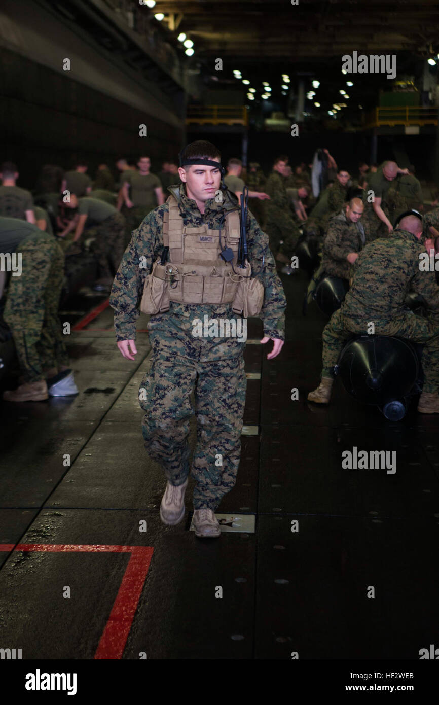 Stati Uniti Marine con società F, Battaglione Team di atterraggio (BLT), 2° Battaglione, 4 Marines, 31 Marine Expeditionary Unit (31 MEU) conduce una passeggiata attraverso il controllo della gomma di combattimento razzia imbarcazioni durante le operazioni in barca nel pozzetto del ponte della USS Bonhomme Richard (LHD6), al mare, Febbraio 2, 2015. Marines e marinai ha lanciato e recuperato il combattimento razzia di gomma artigianato in preparazione per il loro prossimo patrol. (U.S. Marine Corps photo by GySgt Ismael Peña/ Rilasciato) barca 150202 operazioni-M-CX588-028 Foto Stock
