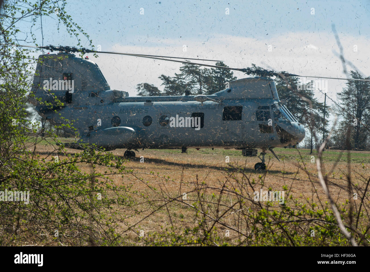 Un CH-46 Sea Knight atterra come Golf Company, 2nd Battalion, 25th Marines conduce un'esercitazione di fuoco vivo presso la base del corpo dei Marines di Quantico, praticando il coordinamento con aerei e sistemi d'arma. Foto Stock