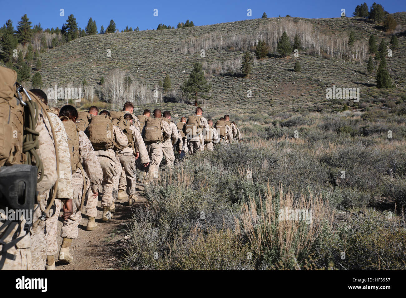 Marines con l'Ingegnere plotone, sede e società di servizio, il combattimento a terra integrati elemento Task Force, condurre una escursione durante un pilota Marine Corps Prova di funzionamento e valutazione valutazione di attività a bordo Marine Corps Mountain Warfare Training Center Bridgeport, California, 3 maggio 2015. Da ottobre 2014 a luglio 2015, il GCEITF sarà condotta individuale e collettivo di competenze di livello di formazione in designato il combattimento a terra i bracci di specialità professionali al fine di facilitare la basata su standard di valutazione della prestazione fisica di Marines in simulato un ambiente operativo eseguendo specif Foto Stock