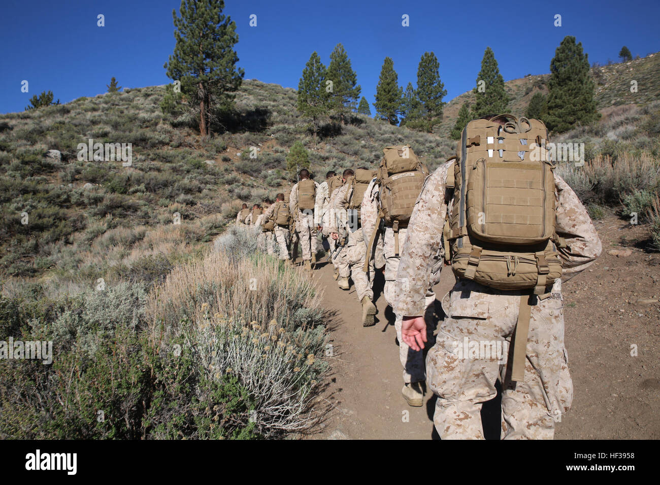 Marines e un corpsman con l'Ingegnere plotone, sede e società di servizio, il combattimento a terra integrati elemento Task Force, condurre una escursione durante un pilota Marine Corps Prova di funzionamento e valutazione valutazione di attività a bordo Marine Corps Mountain Warfare Training Center Bridgeport, California, 3 maggio 2015. Da ottobre 2014 a luglio 2015, il GCEITF sarà condotta individuale e collettivo di competenze di livello di formazione in designato il combattimento a terra i bracci di specialità professionali al fine di facilitare la basata su standard di valutazione della prestazione fisica di Marines in simulato un ambiente operativo pe Foto Stock