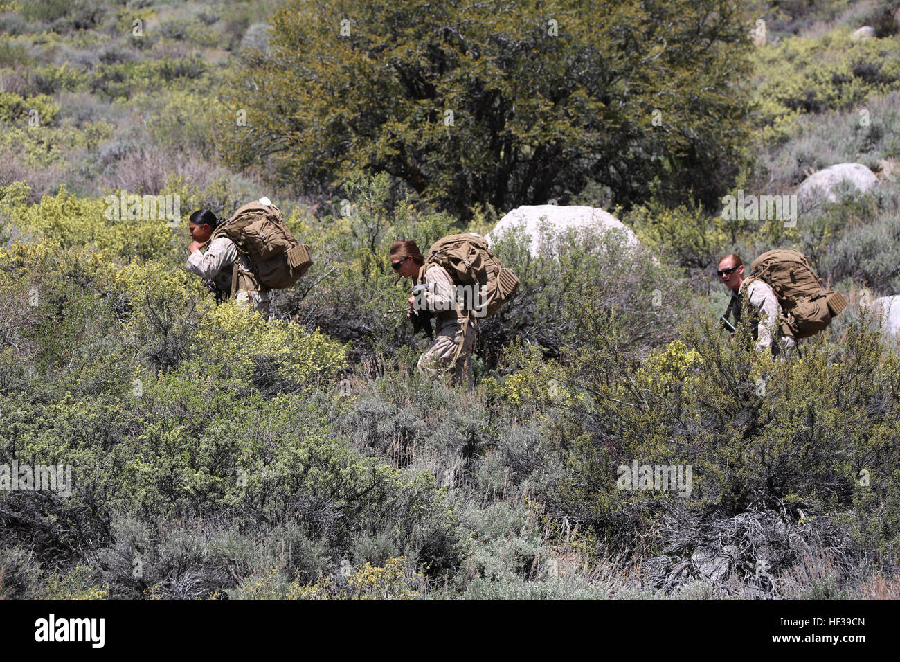 Marines con il combattimento a terra integrati elemento Task Force escursione lungo un sentiero durante un Marine Corps Prova di funzionamento e valutazione valutazione di attività a bordo Marine Corps Mountain Warfare Training Center Bridgeport, California, 5 maggio 2015. Da ottobre 2014 a luglio 2015, il GCEITF sarà condotta individuale e collettivo di competenze di livello di formazione in designato il combattimento a terra i bracci di specialità professionali al fine di facilitare la basata su standard di valutazione della prestazione fisica di Marines in simulato un ambiente operativo eseguendo la massa specifica la lotta contro le armi le attività. (U.S. Marine Corps Foto Stock
