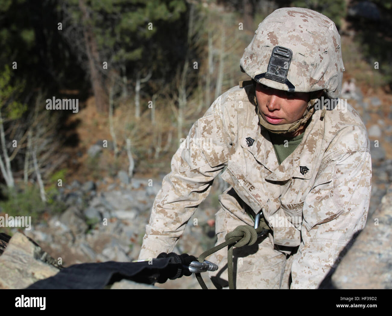 Sgt. Courtney G. Bianco, mitrailleur, armi Company, il combattimento a terra integrati elemento Task Force, si prepara a scendere a 40-piede scogliera durante un pilota Marine Corps Prova di funzionamento e valutazione valutazione di attività a bordo Marine Corps Mountain Warfare Training Center Bridgeport, California, 5 maggio 2015. Da ottobre 2014 a luglio 2015, il GCEITF sarà condotta individuale e collettivo di competenze di livello di formazione in designato il combattimento a terra i bracci di specialità professionali al fine di facilitare la basata su standard di valutazione della prestazione fisica di Marines in un funzionamento simulato environ Foto Stock