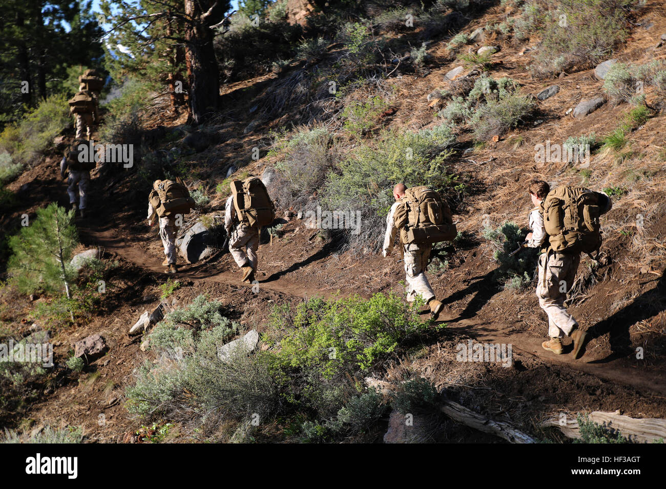 Marines con il combattimento a terra integrati elemento Task Force escursione lungo un sentiero durante il loro ultimo Marine Corps Prova di funzionamento e valutazione valutazione di attività a bordo Marine Corps Mountain Warfare Training Center Bridgeport, California, 18 maggio 2015. Da ottobre 2014 a luglio 2015, il GCEITF sarà condotta individuale e collettivo di competenze di livello di formazione in designato il combattimento a terra i bracci di specialità professionali al fine di facilitare la basata su standard di valutazione della prestazione fisica di Marines in simulato un ambiente operativo eseguendo la massa specifica la lotta contro le armi le attività. (U.S. Marin Foto Stock