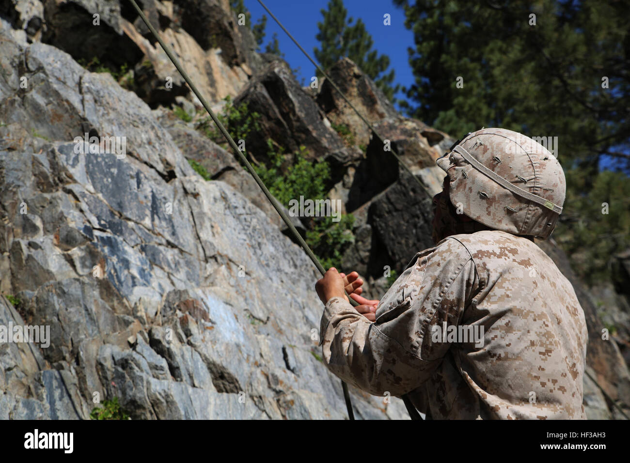 Lancia Cpl. Jovan Stroud, fuciliere, società A, il combattimento a terra integrati elemento Task Force, belays arrampicatori su una fune durante la fase finale delle Marine Corps Prova di funzionamento e valutazione valutazione di attività a bordo Marine Corps Mountain Warfare Training Center Bridgeport, California, 18 maggio 2015. Da ottobre 2014 a luglio 2015, il GCEITF sarà condotta individuale e collettivo di competenze di livello di formazione in designato il combattimento a terra i bracci di specialità professionali al fine di facilitare la basata su standard di valutazione della prestazione fisica di Marines in simulato un ambiente operativo di eseguire specifiche gr Foto Stock